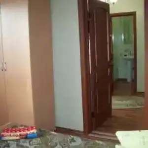 Забиров - 15