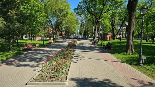 Центральная - 33