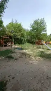 Родное - 55