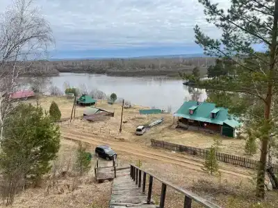 Потапыч - 6