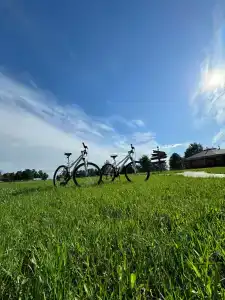 Усадьба Долгорукий - 50