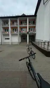 Беловежская пуща. №2 - 23