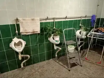 Сокол - 11