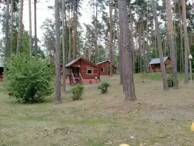 Иволга - 28