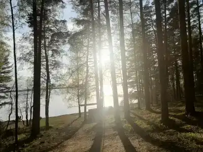 База Сокол, озеро Глубокое - 49