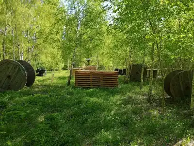 Земляничный - 64