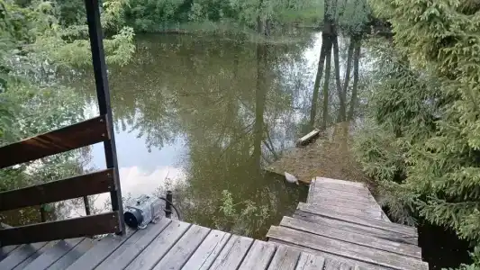 У Борисыча - 50