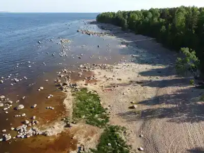 Бухта желтая - 3