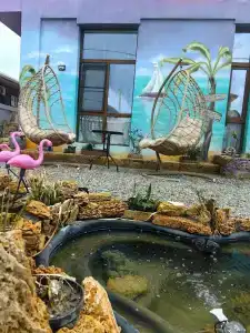 Banana Mama&Infinity Spa - 14
