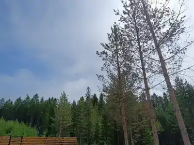 A-frame Сосновый бор - 79