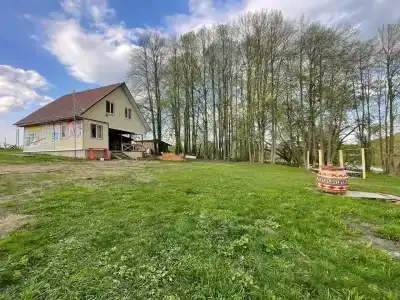 Веселый Роджер - 13