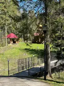 Березка - 10