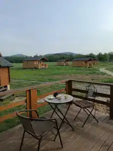 Дрозды - 0