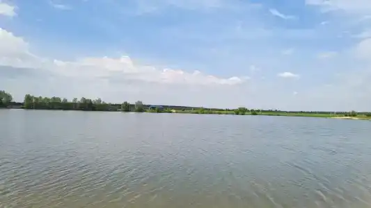 Белый лис - 29