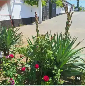 Пансионат Сказка - 41