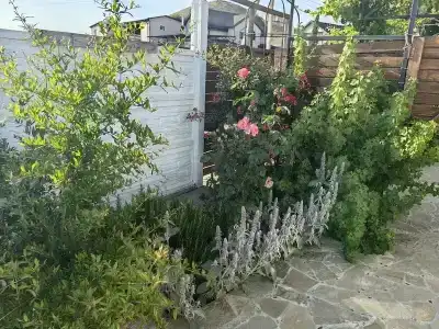 Дельфи - 41