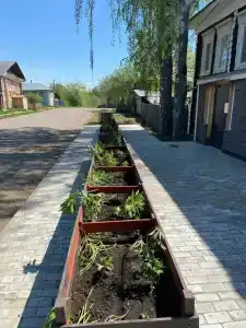 Лазаревых - 25