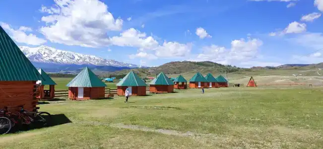 Altay Life Этно - 40
