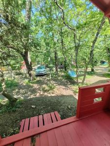 Эколоджия - 31