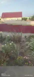 Московский - 33