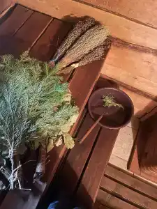 Пенеснарь - 50