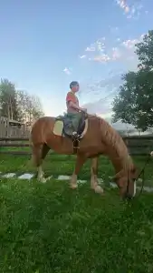 Усадьба Галат - 77