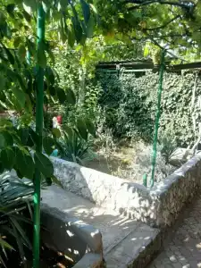 У Галины - 15