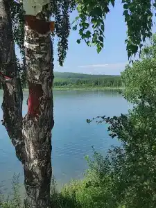 Линевский берег - 66