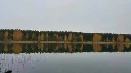 Прудки - 21