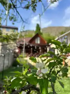 Для друзей - 36