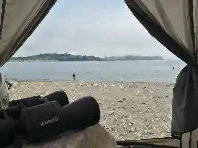 Зелёная полянка - 29