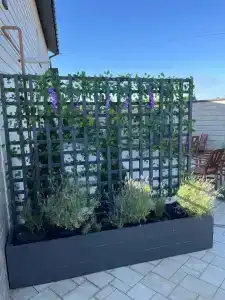 Треугольник - 18