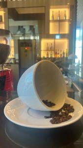 Hilton Garden Inn Istanbul Atatürk Airport - 20