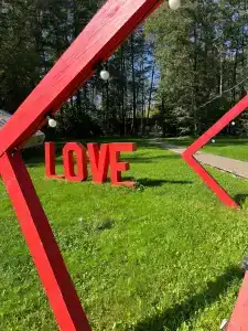 Гуси-Лебеди - 47