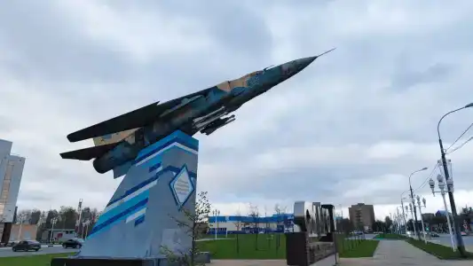 Ибис - 91