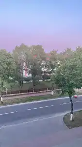 Беловежская пуща. №2 - 37