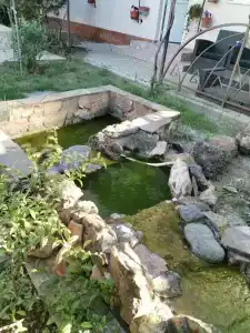 Шлейф - 39