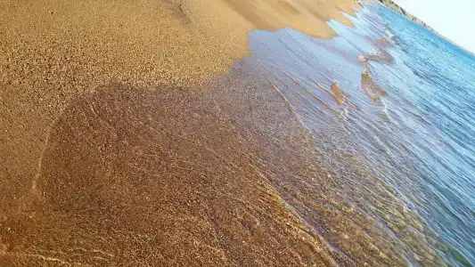 Приморец - 29