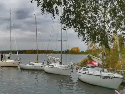 Спарта - 43