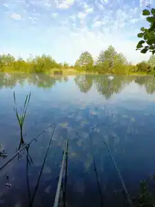 ЭкоОстров - 22