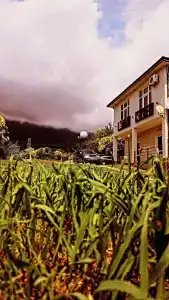 Villa ARGO - 6