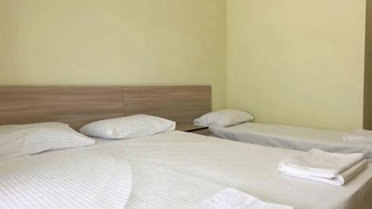 Дельфиния - 67