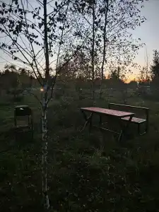 Драйв - 48