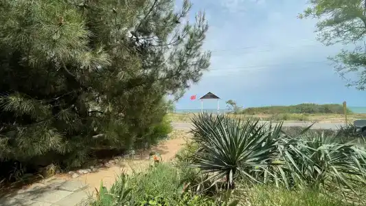 КристОля - 54