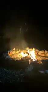 ForRest Сканди - 4