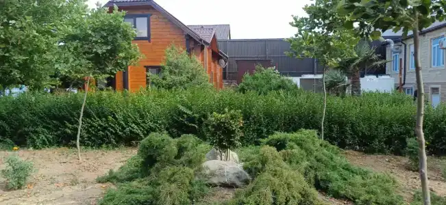 Sanitas Resort&SPA - 56