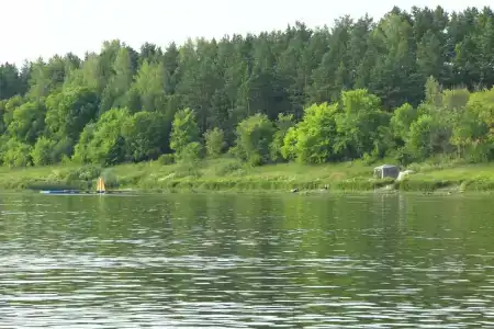 Пчелинцево - 72