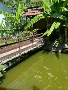 Дом Солнца - 11