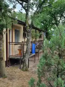 Лазурный - 48