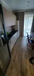 Родина Аэро - 13